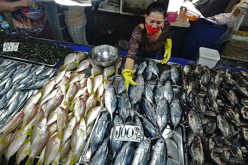 fish_2022-09-14_18-53-20.jpg