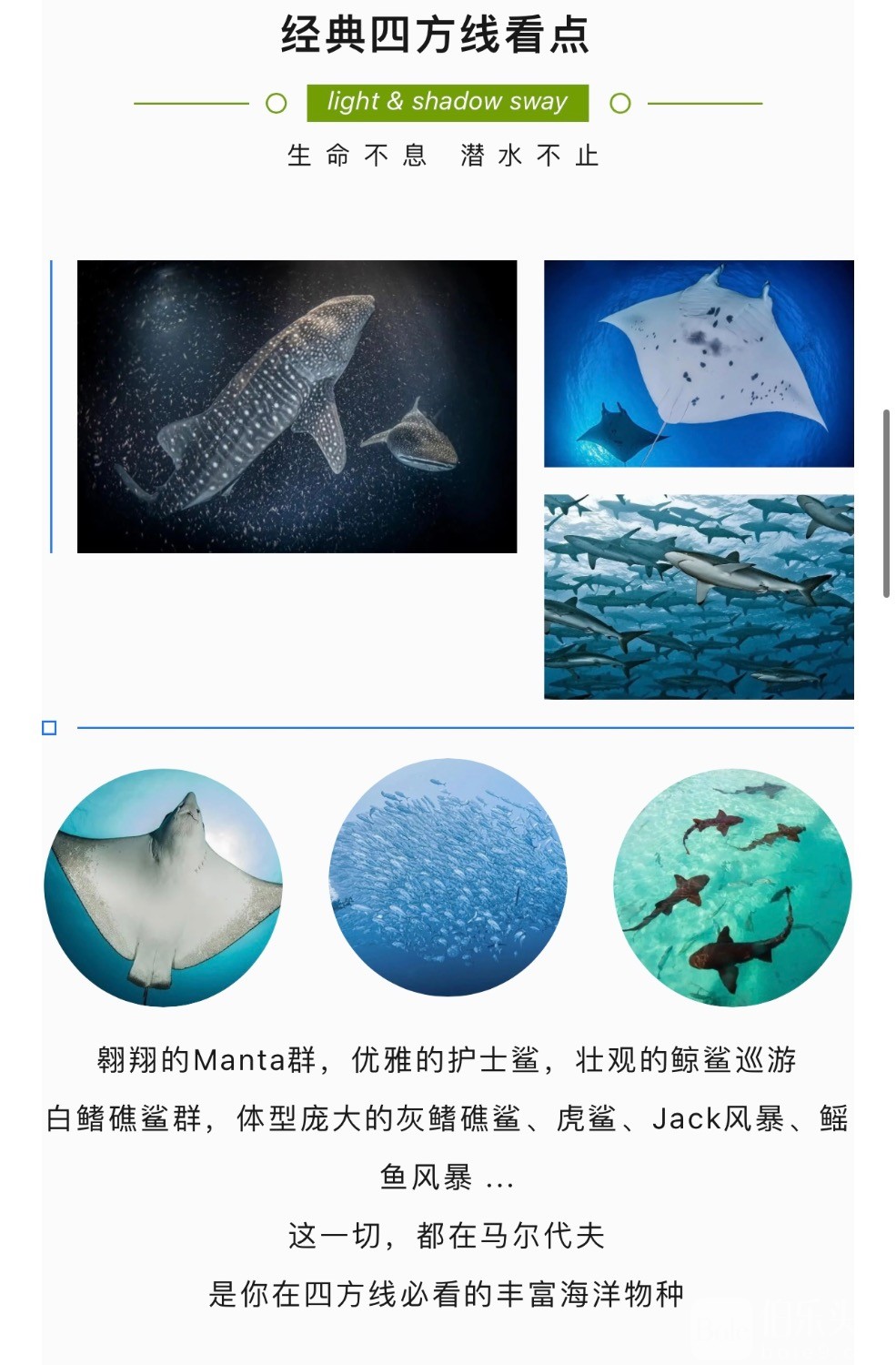2810DB60-A5CF-418A-9D1D-5A1961C507E6.jpeg