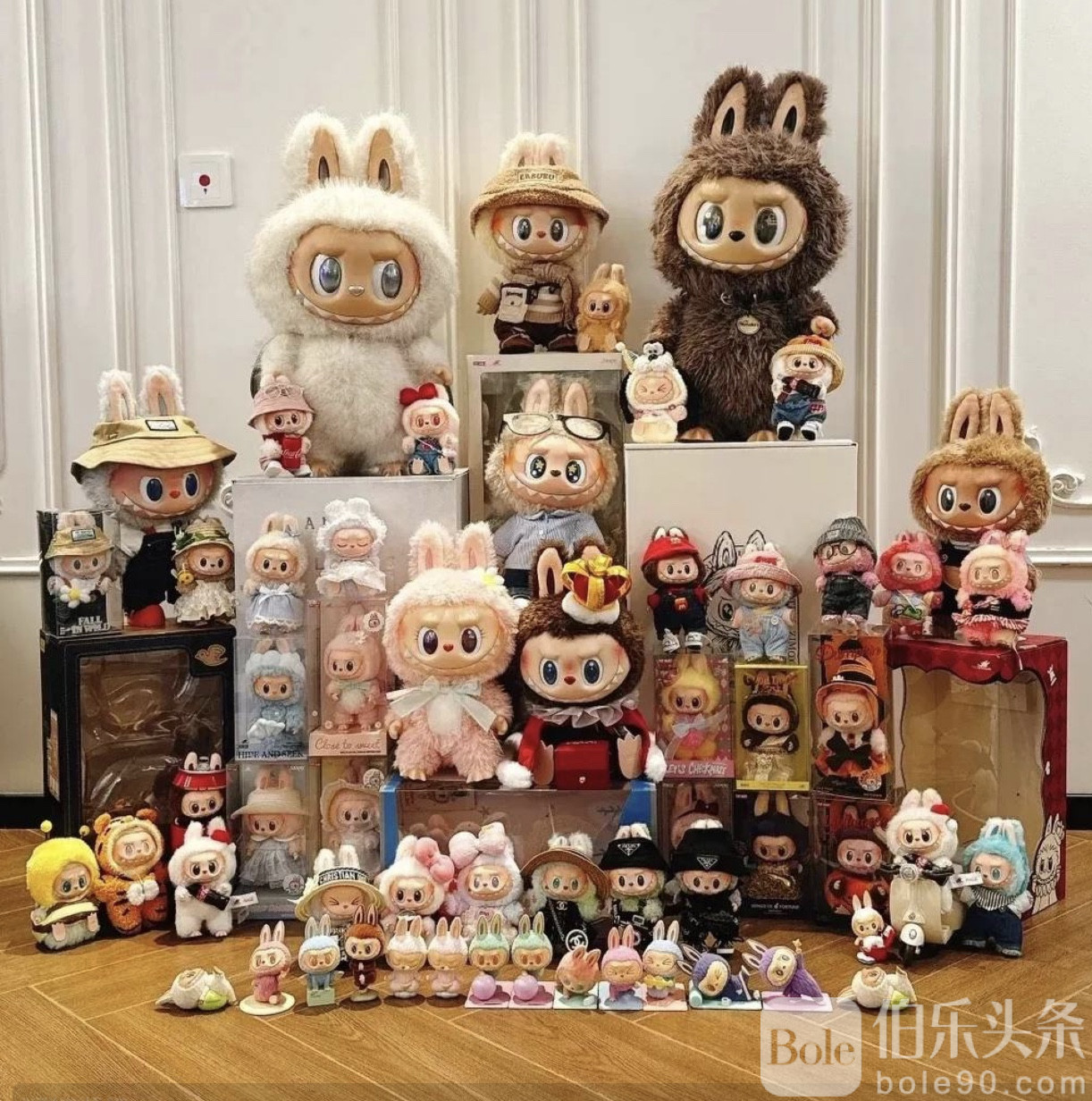 图像2025-6-15 19.50.jpeg
