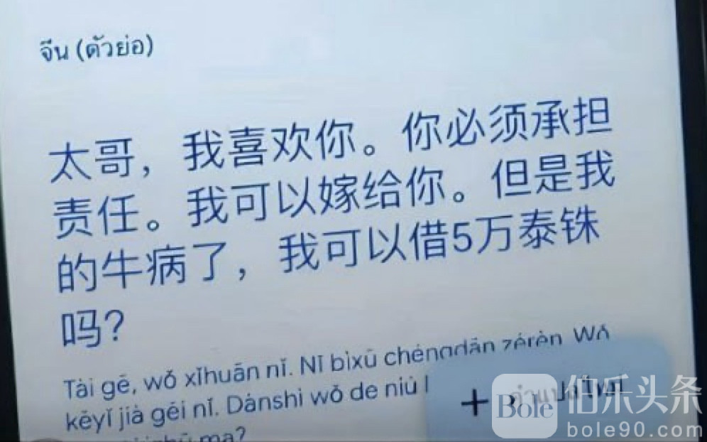 图像2025-7-7 13.43.jpeg