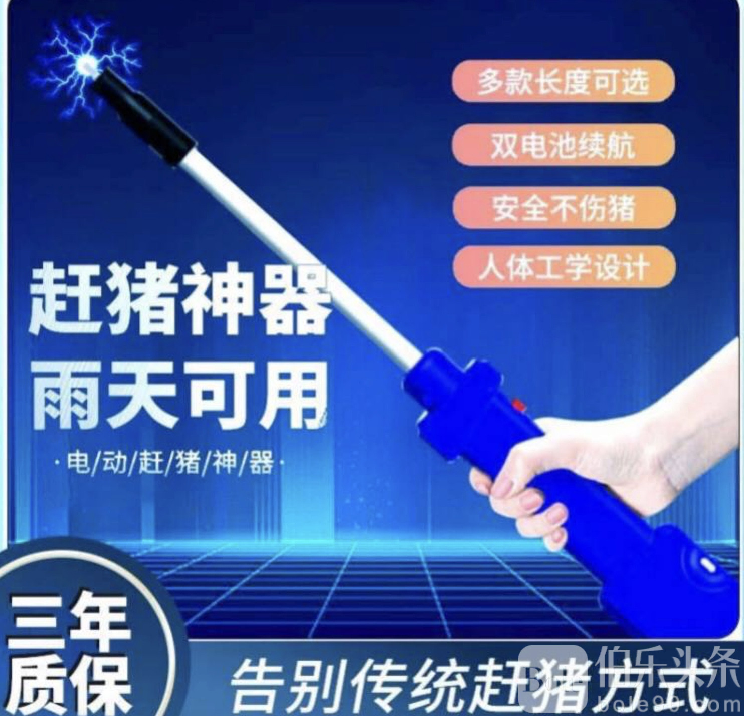 图像2025-9-19 12.40.jpeg