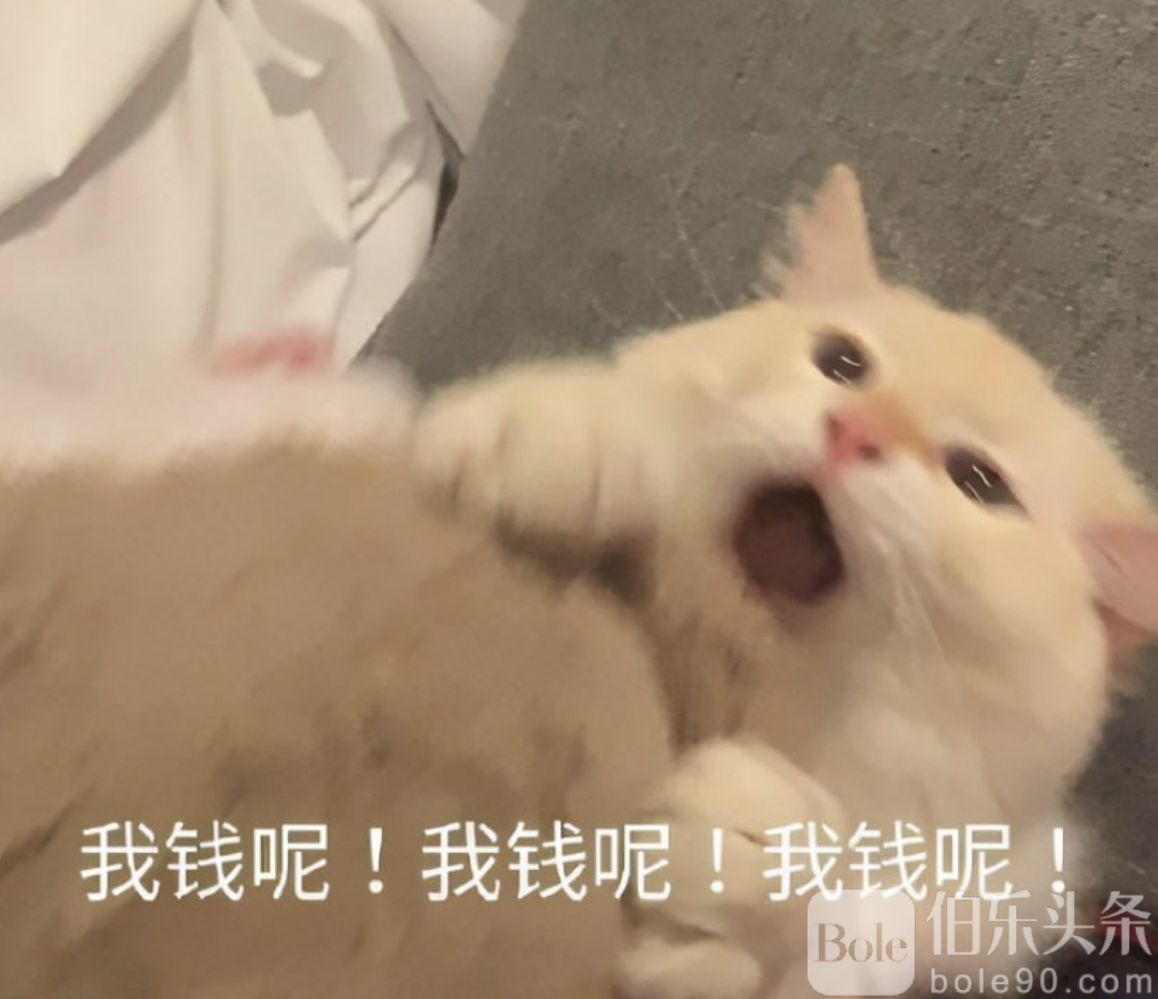 图像2025-10-21 13.38.jpeg 图像2025-10-21 13.38.jpeg