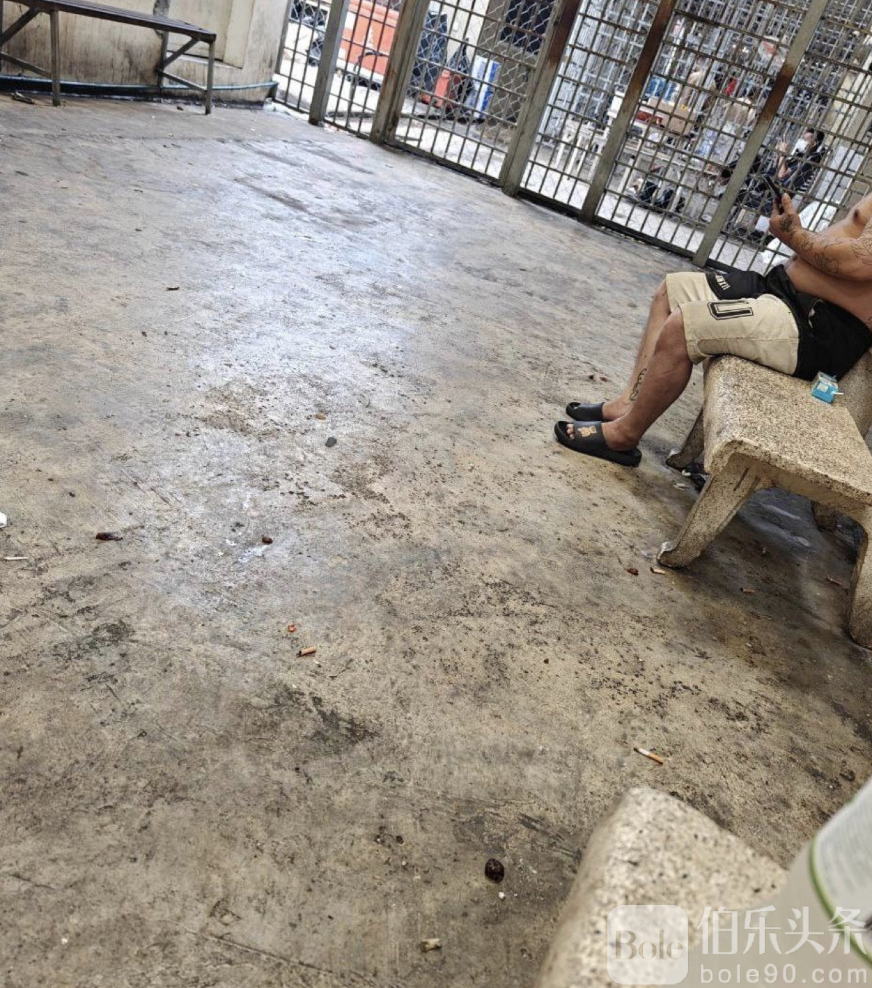 图像2025-11-3 10.44.jpeg