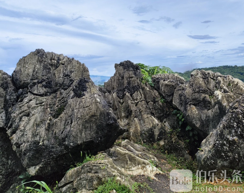 图像2025-11-3 12.42.jpeg