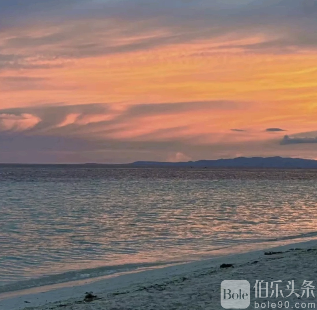 图像2025-11-3 12.47.jpeg