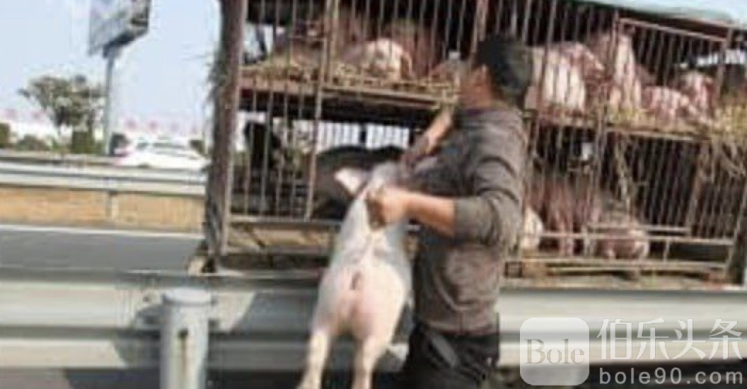 图像2025-11-13 12.23.jpeg