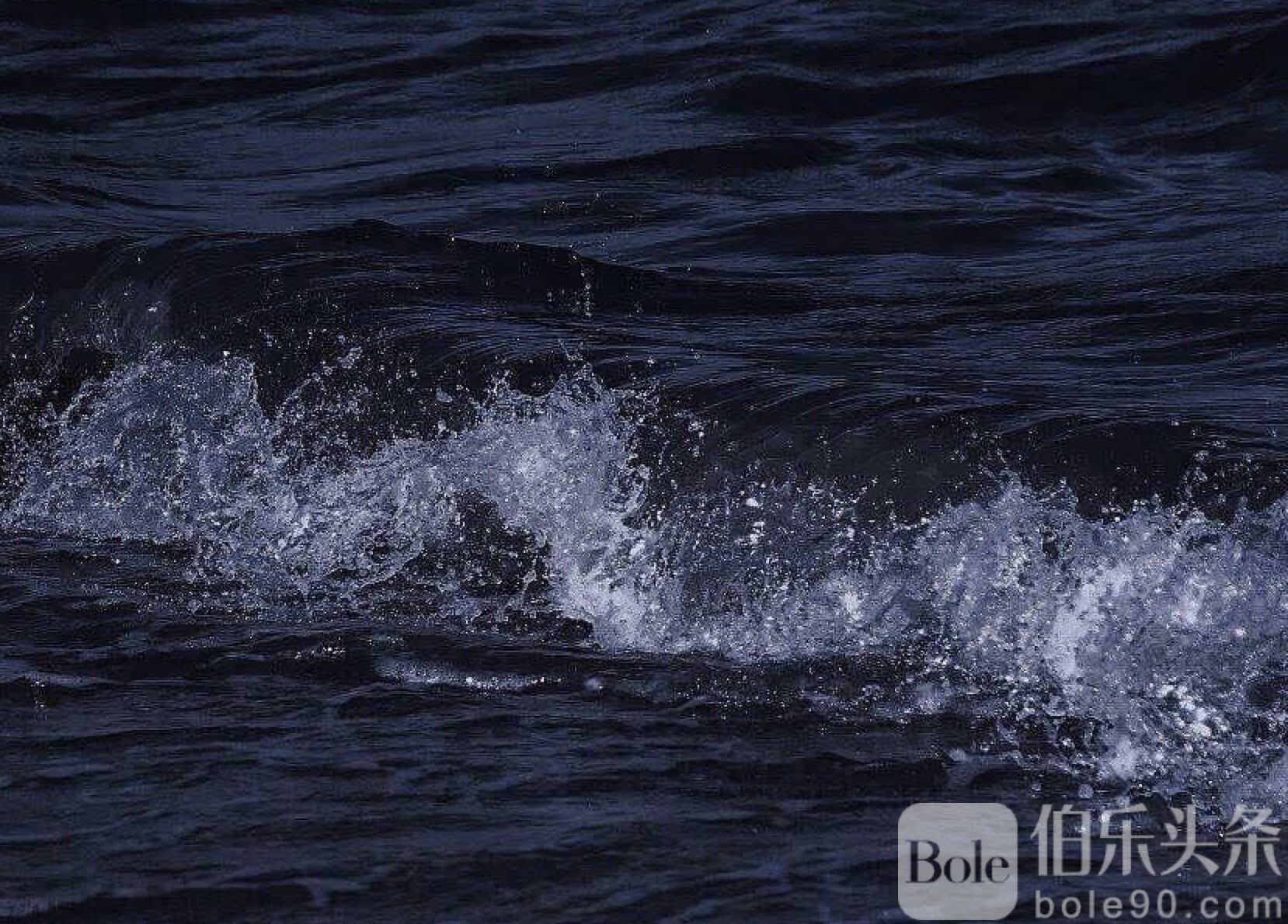 图像2025-11-18 12.37.jpeg