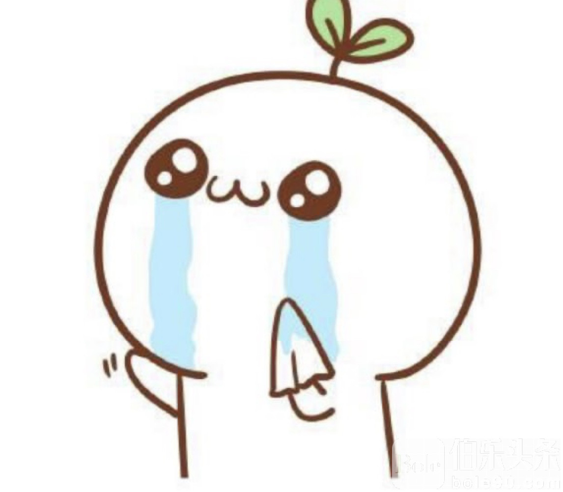 图像2025-11-19 12.34.jpeg