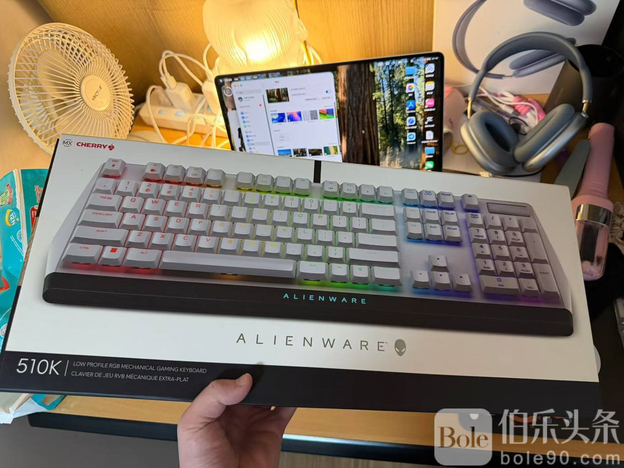 photo_2025-11-21 16.02.11.jpeg