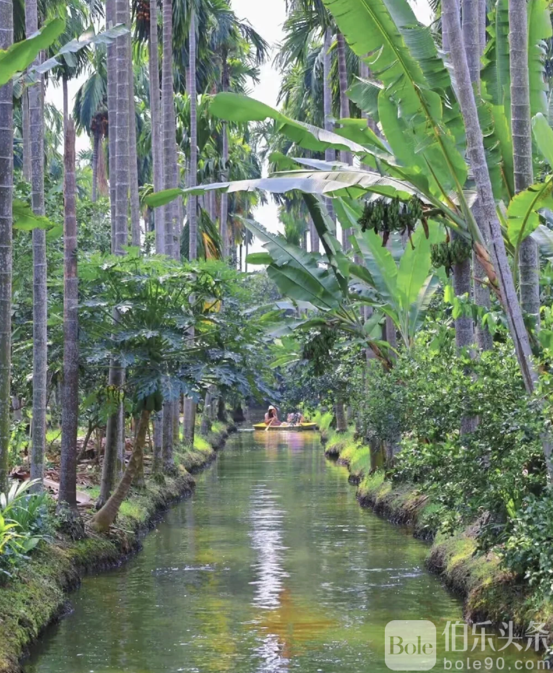 截屏2025-11-21 16.51.04.png