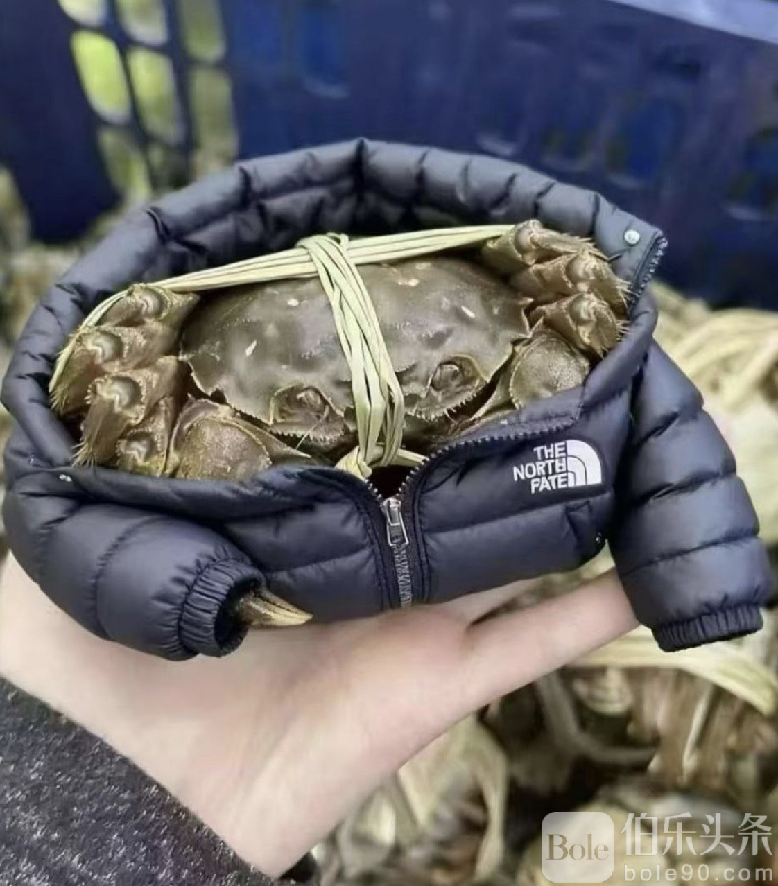 图像2025-11-22 12.45.jpeg