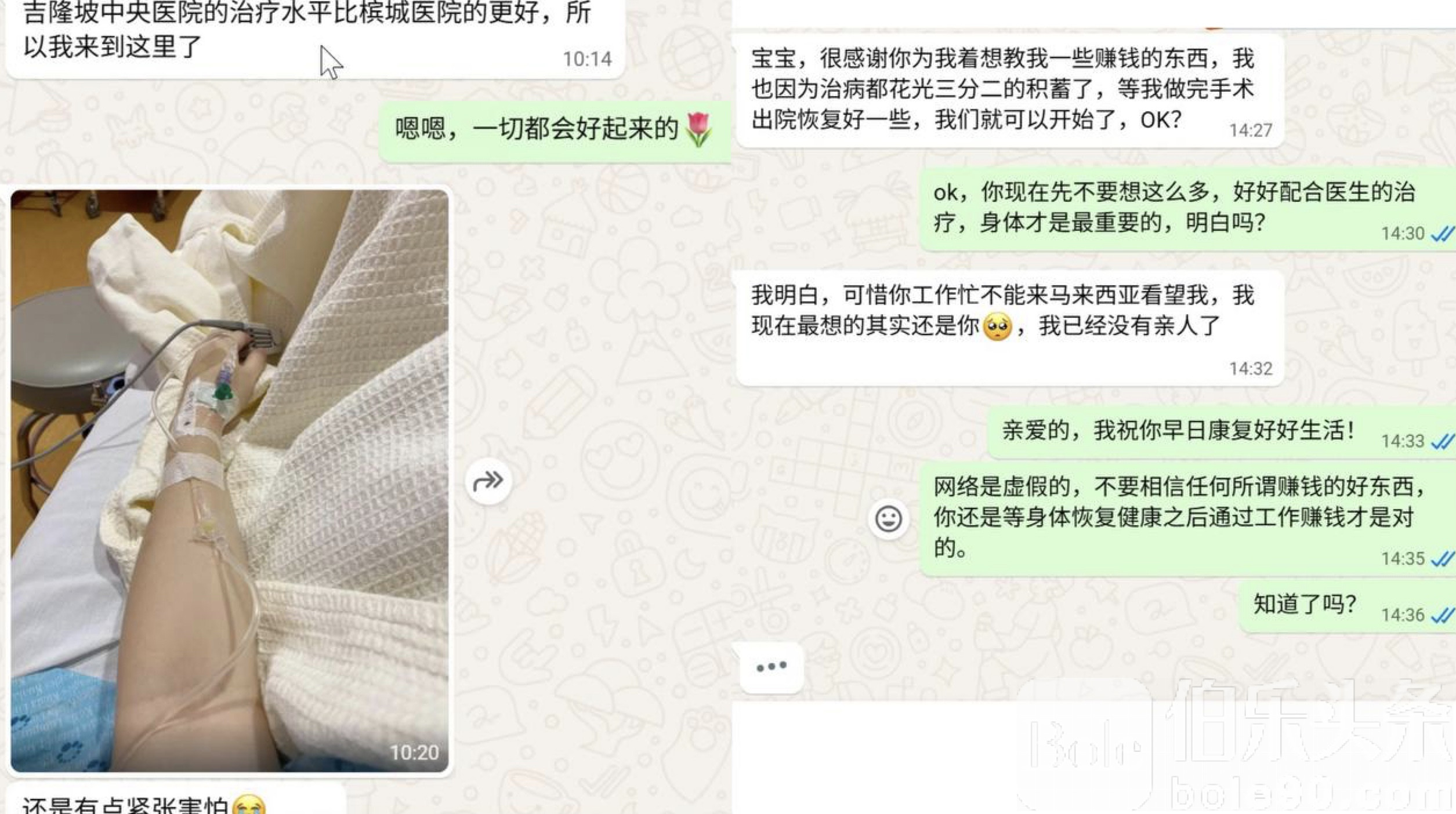 图像2025-11-25 13.38.jpeg