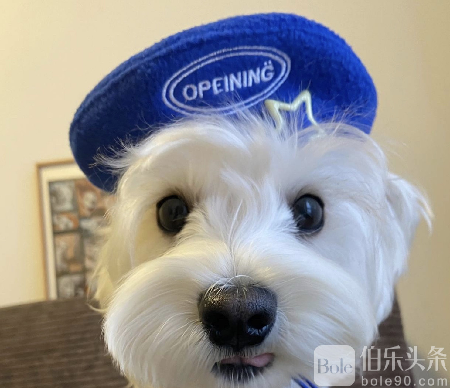 图像2025-11-28 12.42.jpeg