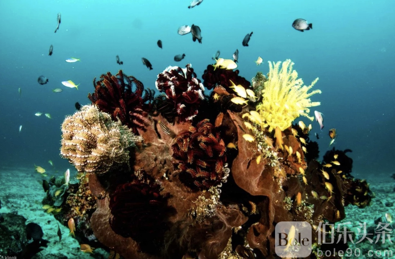 图像2025-12-1 12.33.jpeg