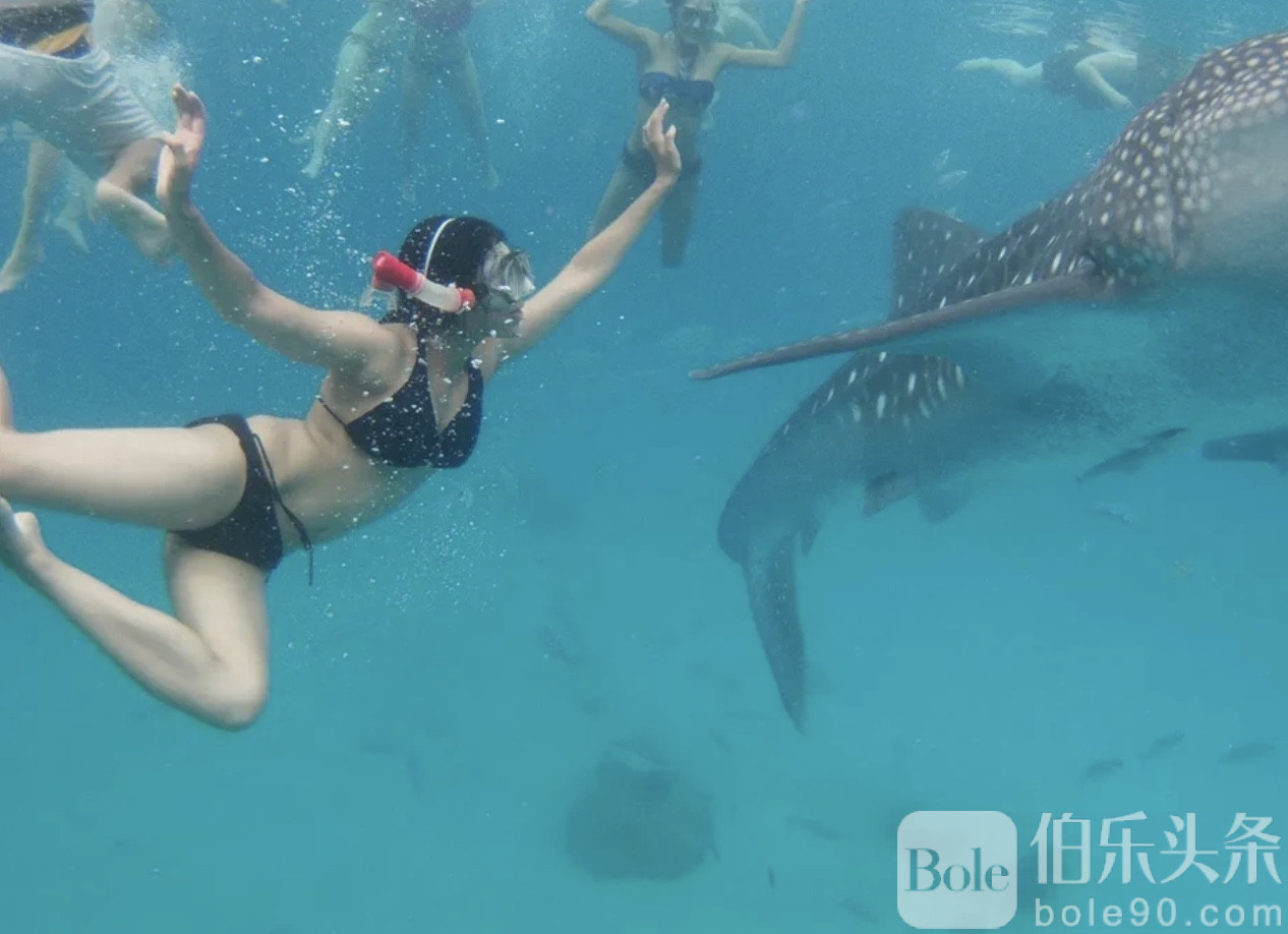 图像2025-12-1 12.34 (3).jpeg