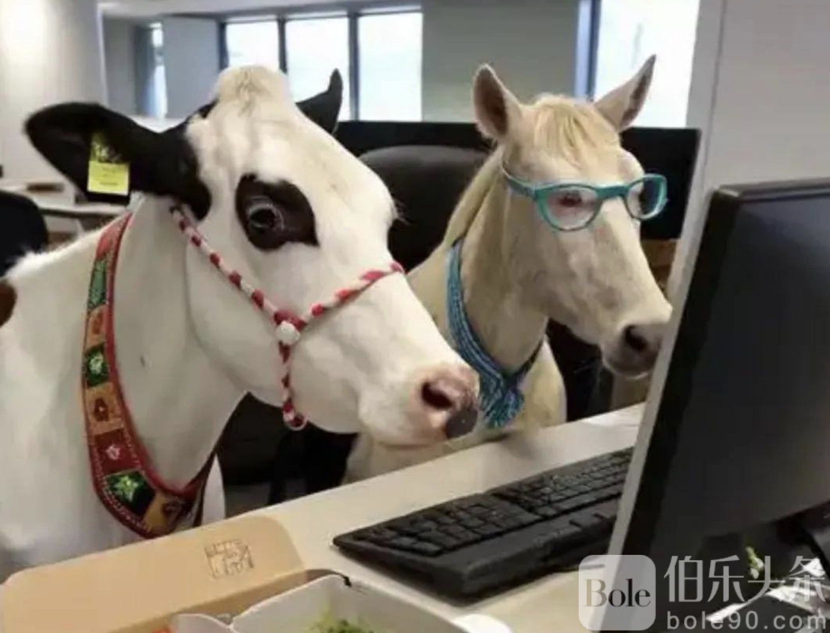 图像2025-12-8 12.26.jpeg