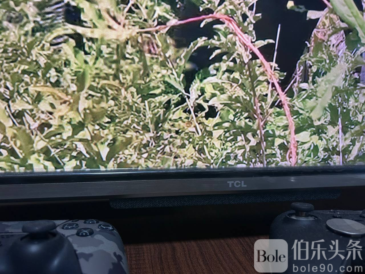 photo_2025-12-15 11.44.30.jpeg