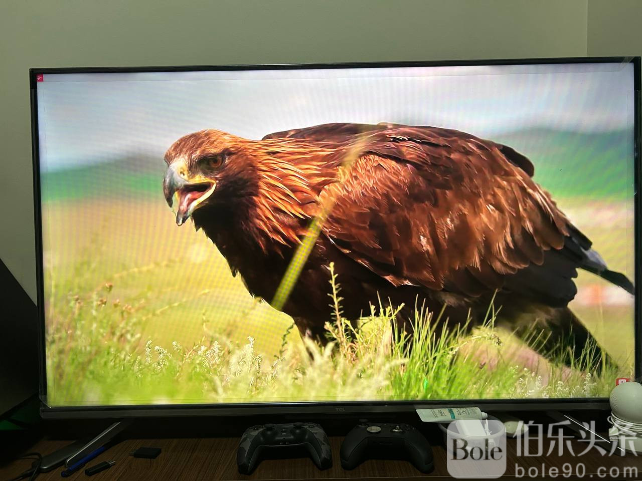 photo_2025-12-15 11.44.16.jpeg