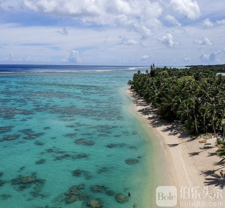 图像2025-12-15 12.49.jpeg