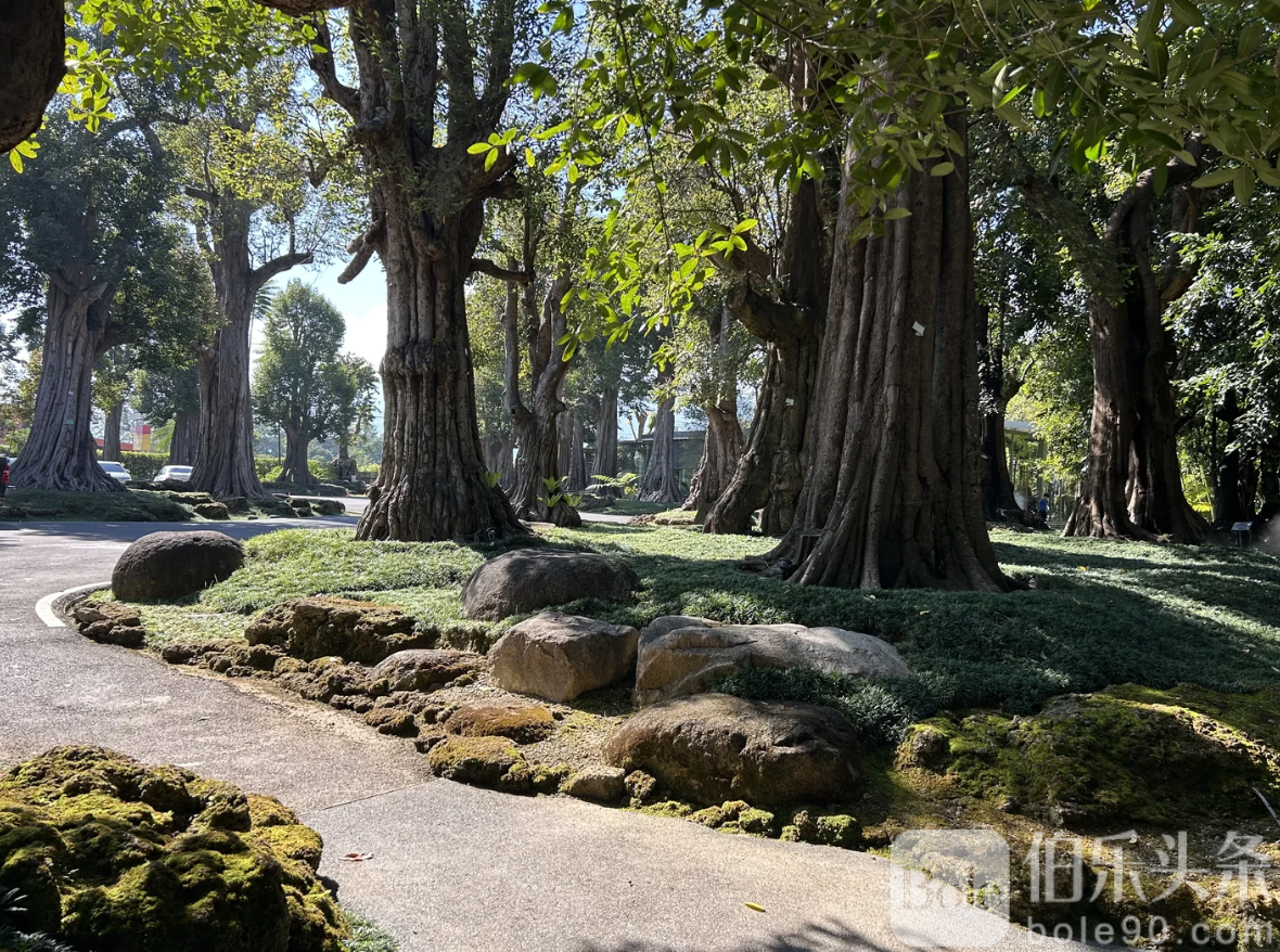 截屏2025-12-22 17.18.23.png