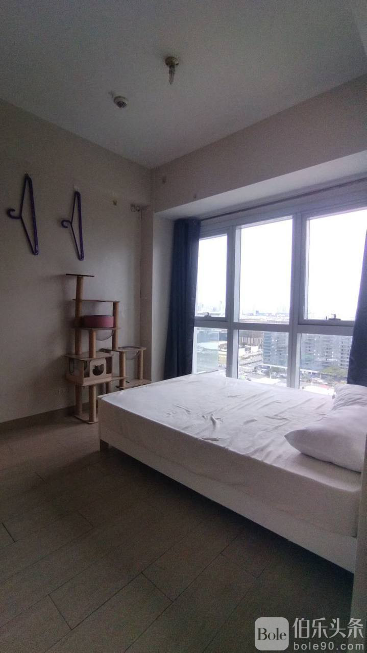 photo_2025-12-31 15.07.26.jpeg