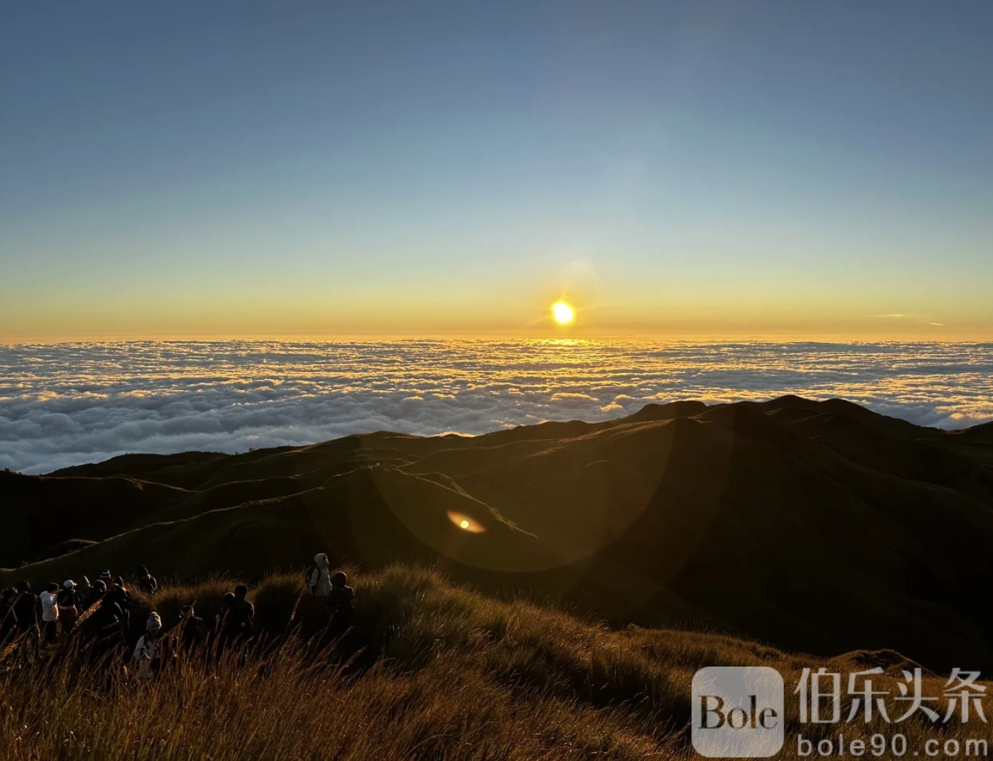 图像2026-1-12 11.32 (1).jpeg