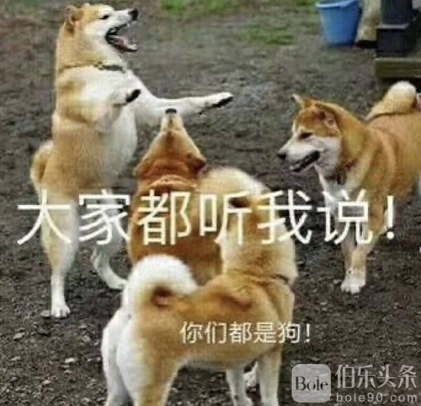 图像2026-1-16 10.45.jpeg