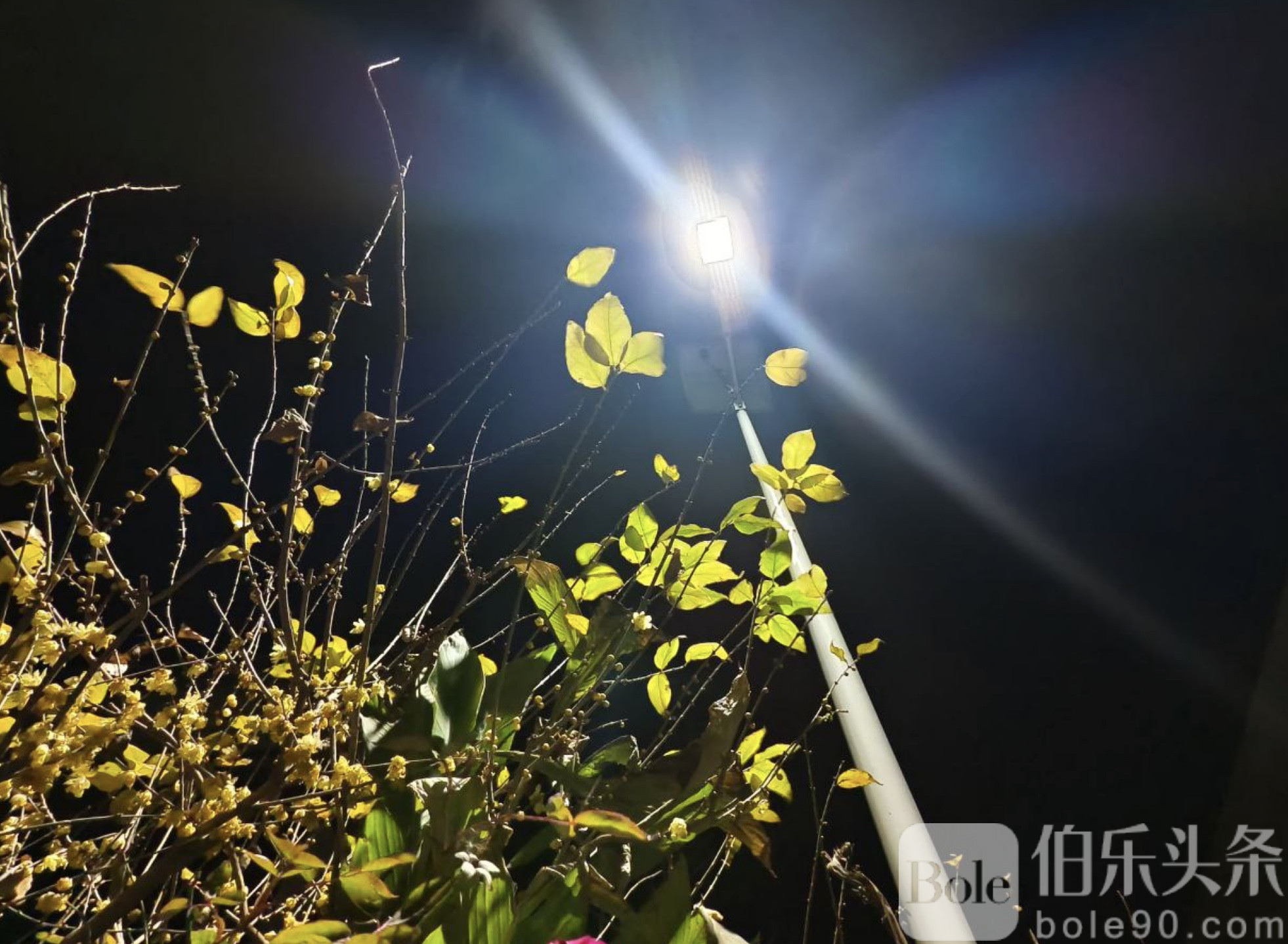 图像2026-1-17 12.31.jpeg