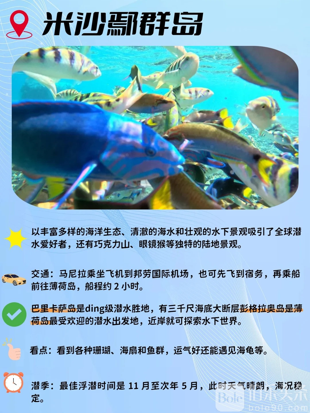 推荐五个超绝浮潜点！你都去过哪个？_4_蓝色巴拉望_来自小红书网页版.jpg