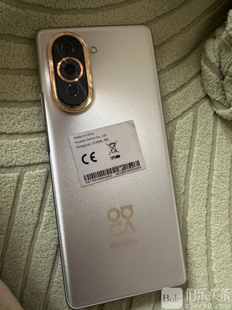 photo_2026-01-19 13.31.47.jpeg