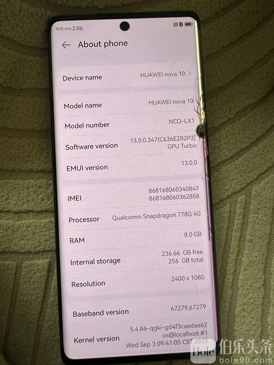 photo_2026-01-19 13.31.45.jpeg