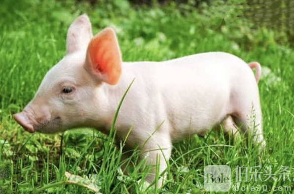 图像2026-1-22 12.23.jpeg