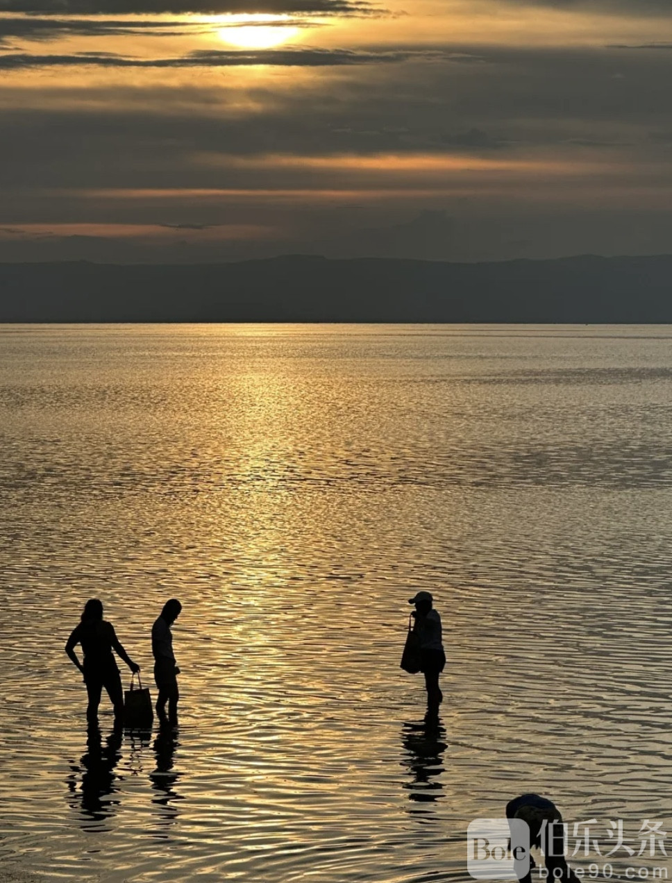 图像2026-1-26 11.26 (1).jpeg