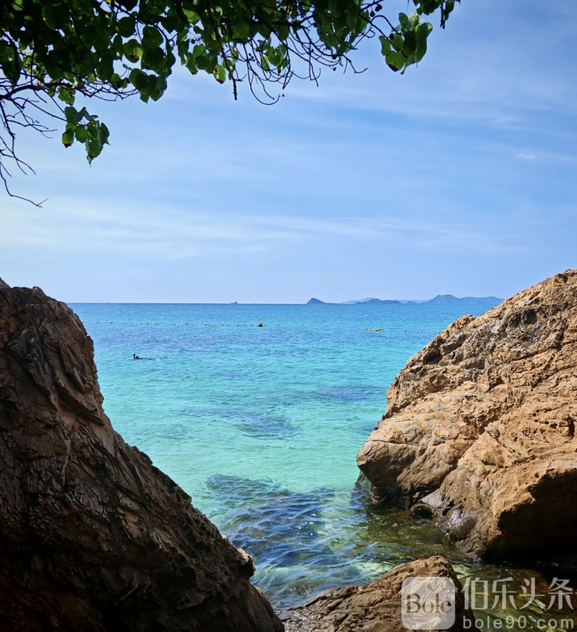 截屏2026-01-26 12.37.53.png