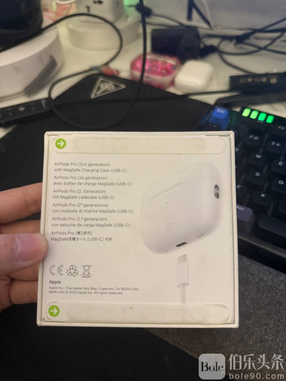 photo_2026-01-28 17.31.11.jpeg