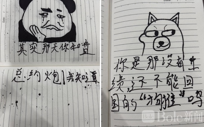 图像2026-2-4 12.29.jpeg