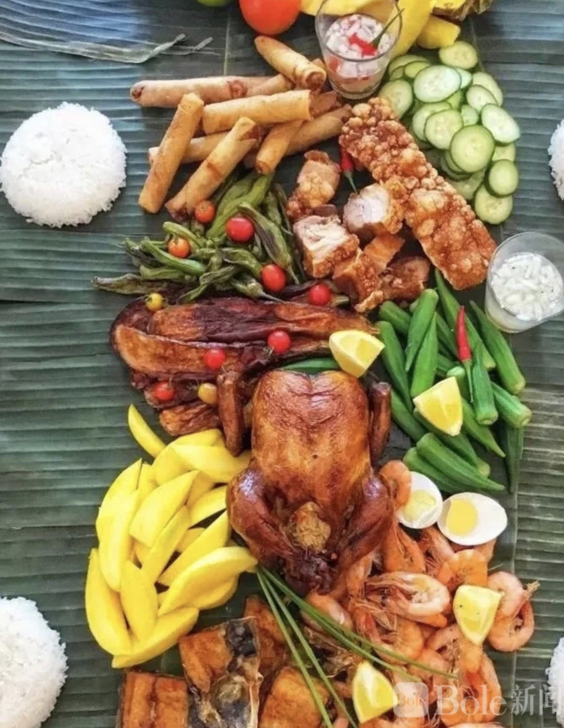 图像2026-2-17 13.50 (1).jpeg