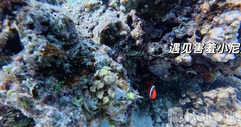 图像2026-2-17 13.56 (3).jpeg