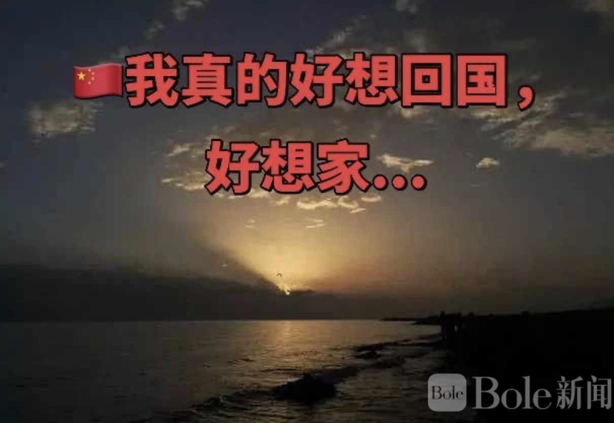 图像2026-2-28 12.44.jpeg