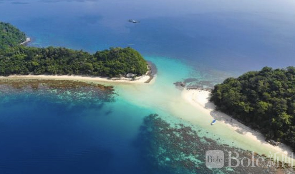 图像2026-3-2 12.25 (2).jpeg