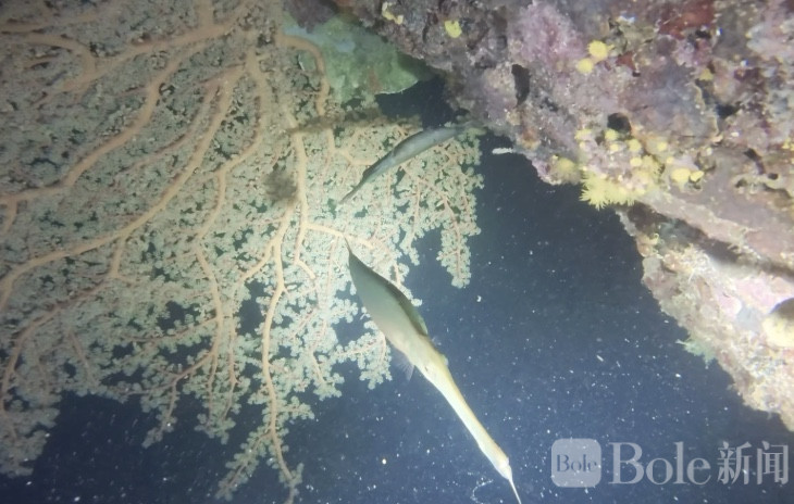 图像2026-3-9 12.07 (2).jpeg