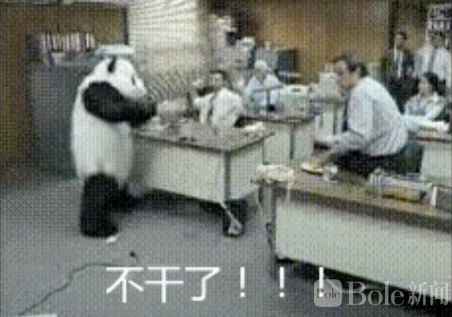 图像2026-3-16 12.36.jpeg