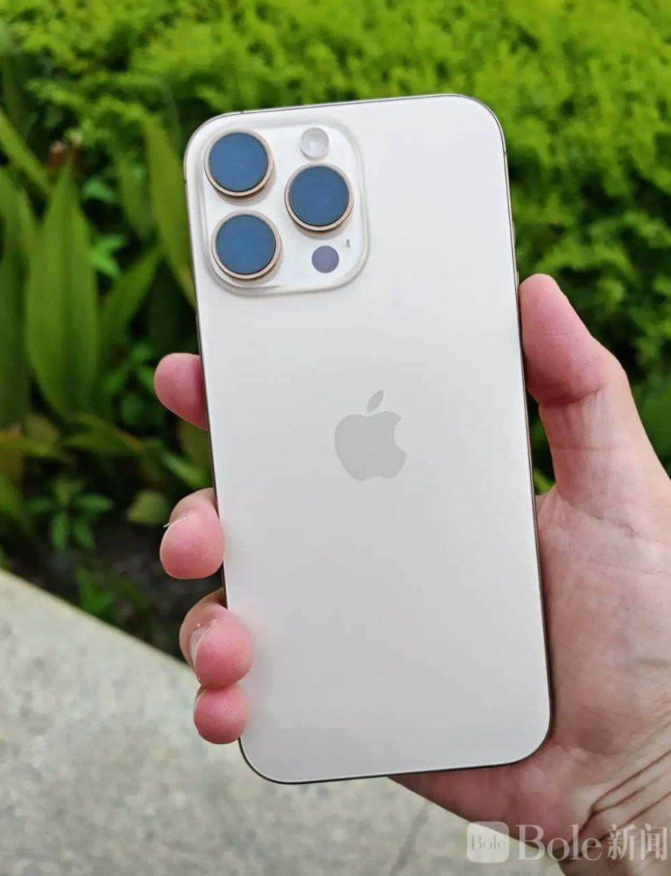 photo_2026-03-20 14.34.35.jpeg