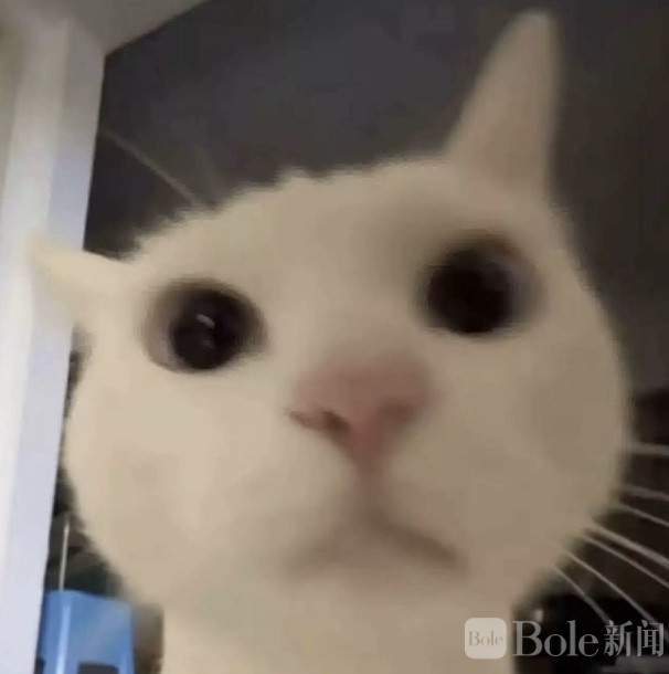 图像2026-3-23 12.30.jpeg