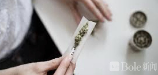 图像2026-3-27 12.42.jpeg