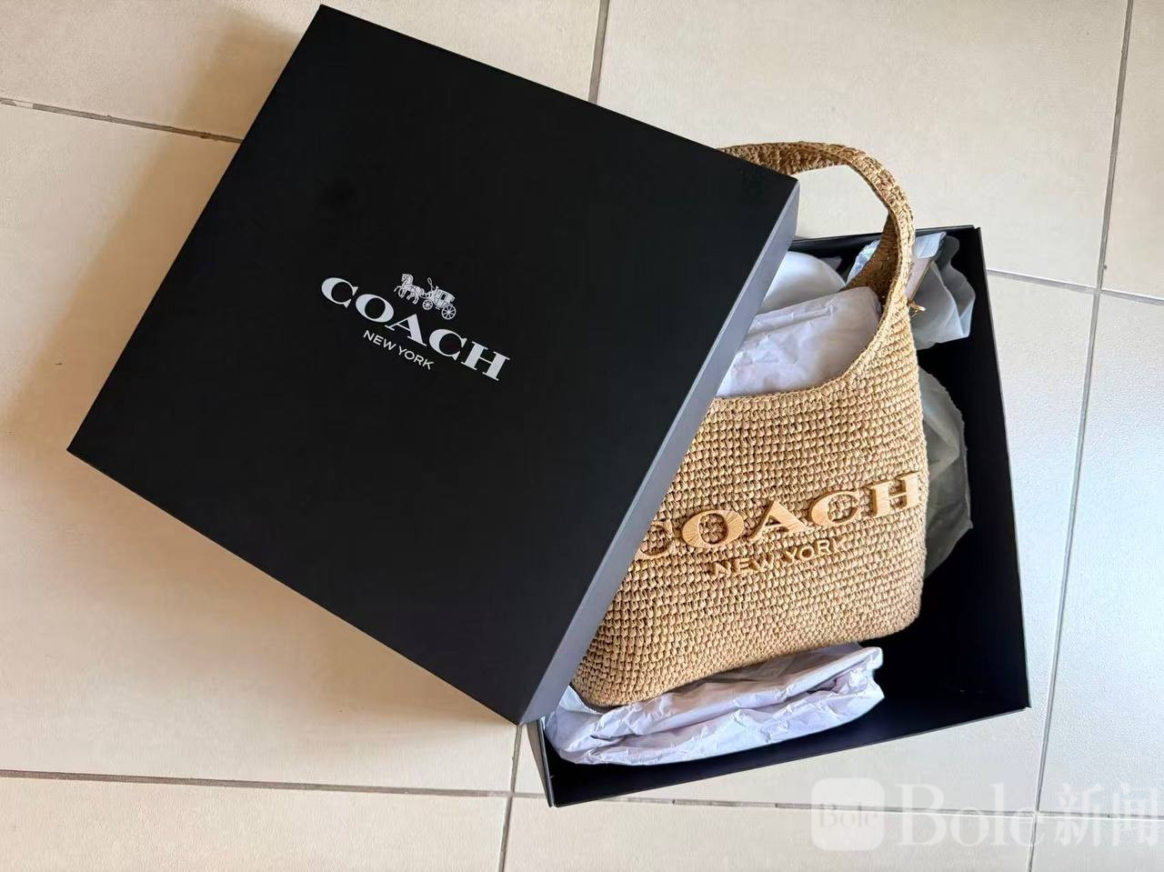 photo_2026-04-01 11.50.48.jpeg