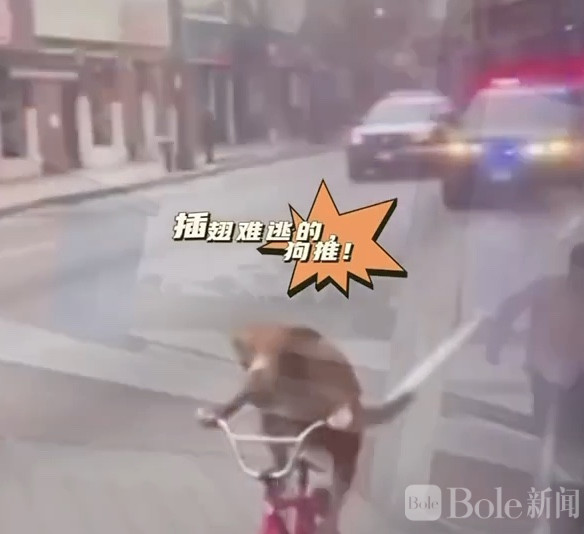 图像2026-4-9 13.37.jpeg