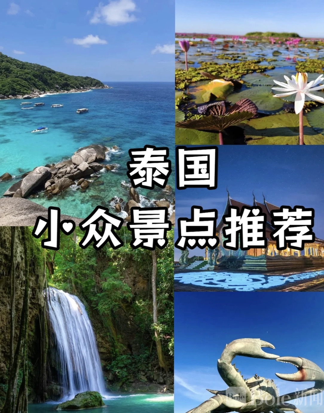 图像2026-4-20 20.18.jpeg