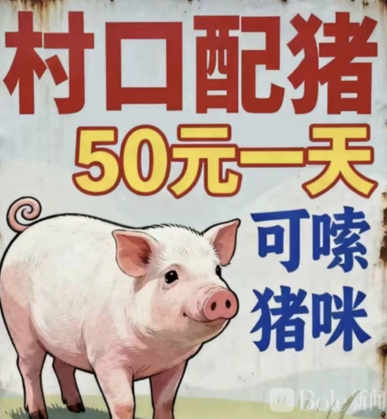 图像2026-4-23 12.34.jpeg