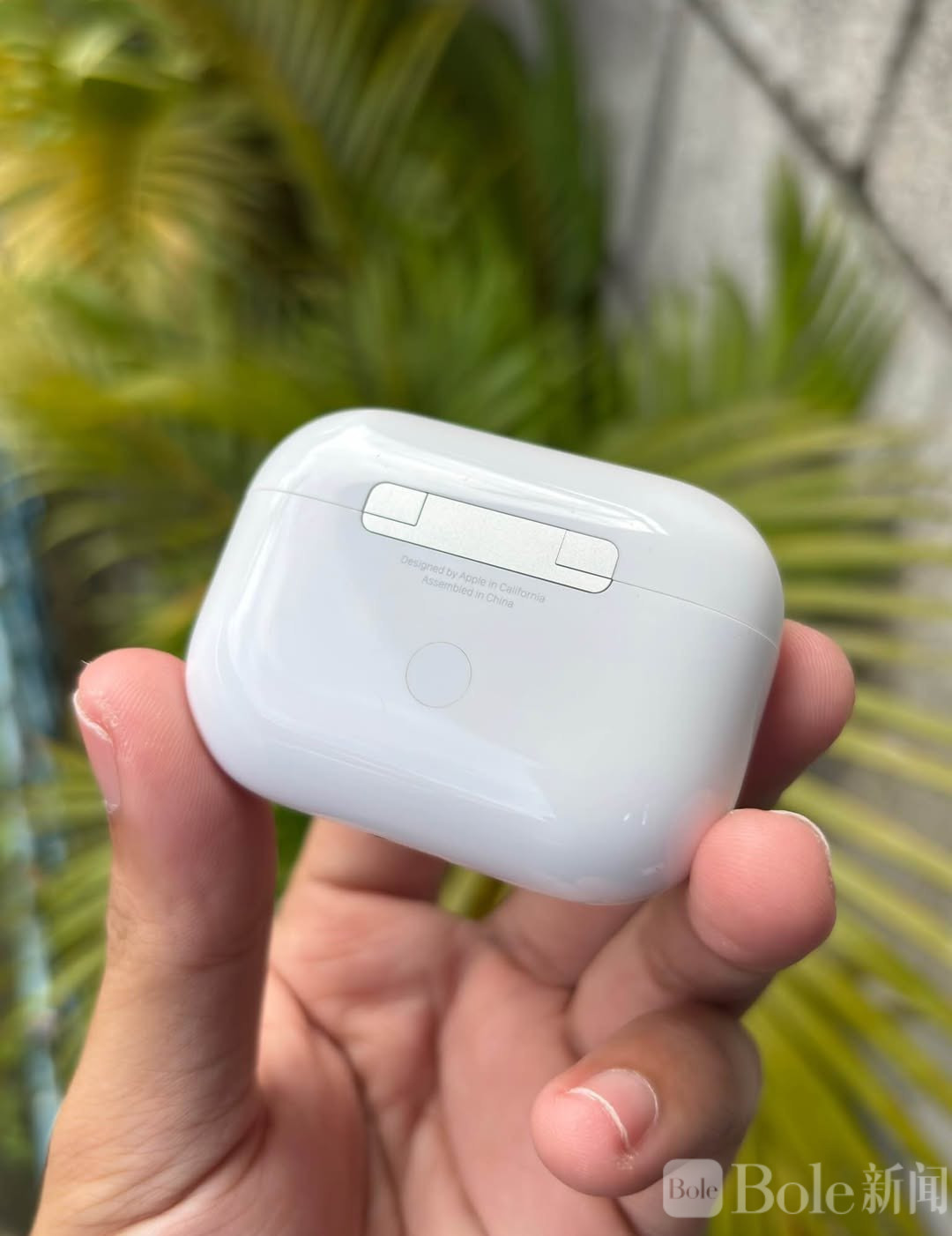 photo_2026-04-29 15.45.08.jpeg